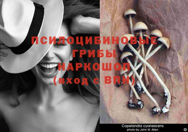 MESCALINE Аркадак