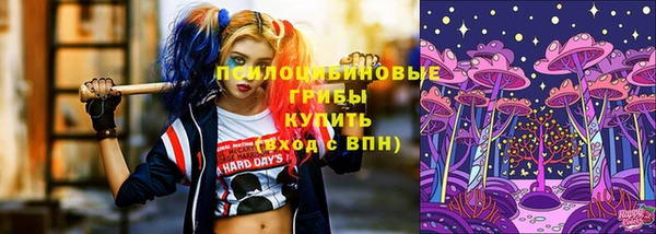 MESCALINE Аркадак