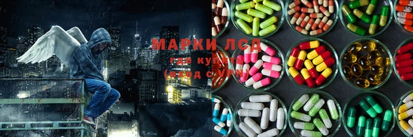 MESCALINE Аркадак