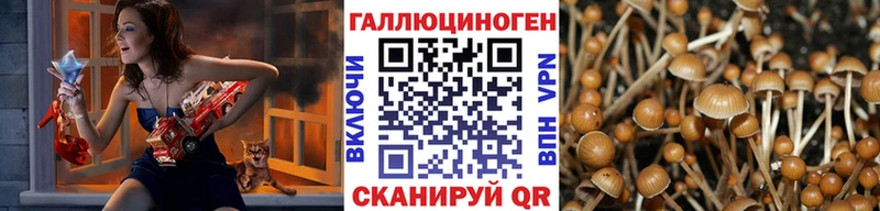 Псилоцибиновые грибы Psilocybine cubensis  Нижний Ломов 